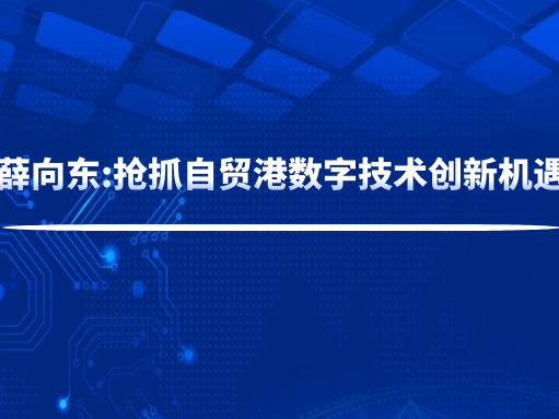 薛向東:搶抓自貿港數字技術創新機遇
